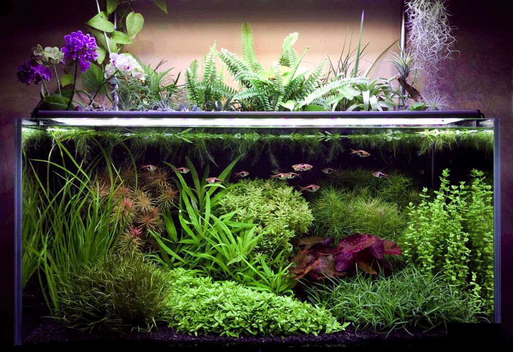 Аквариумный светильник