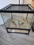 Terrarium 30x30x30