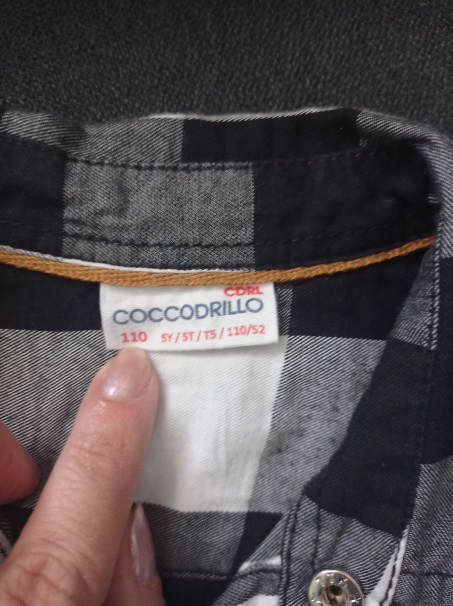 Koszula Coccodrilo 110