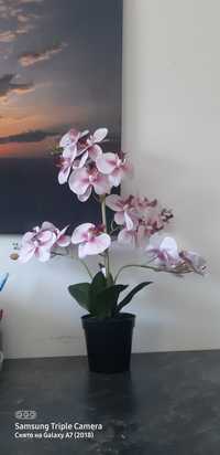 Продам искусственную орхидею