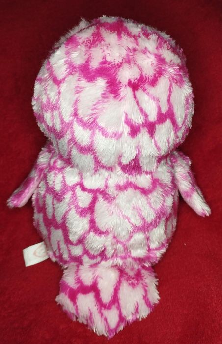 Mis sowa szuka nowego domu