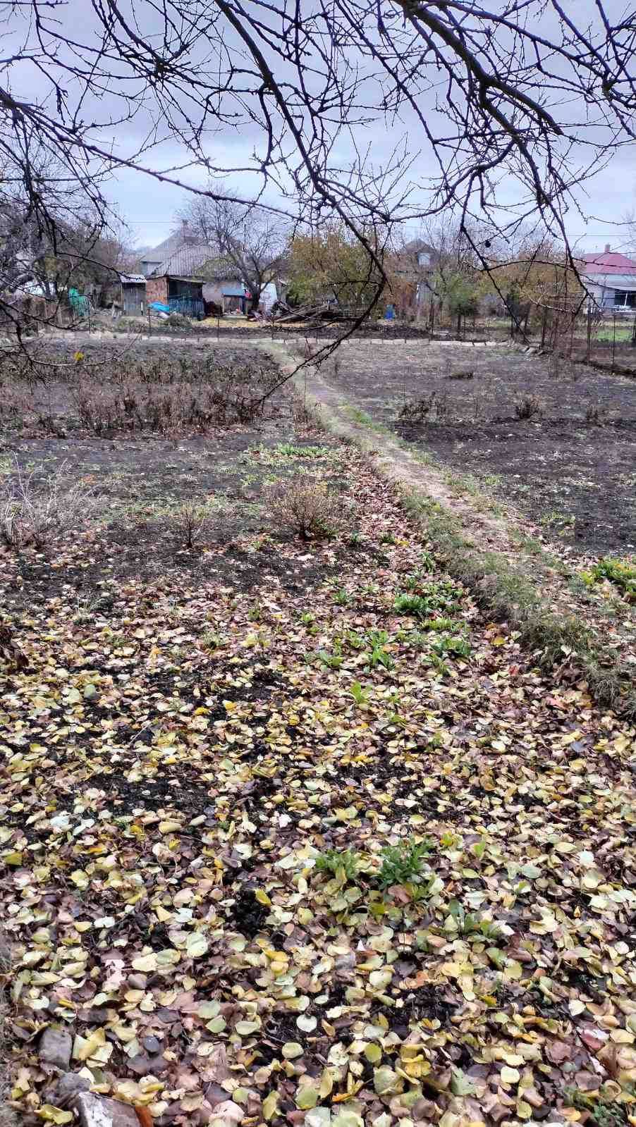 Недорого продам небольшой дом,колодец,печное отопл,кадастровый номер
