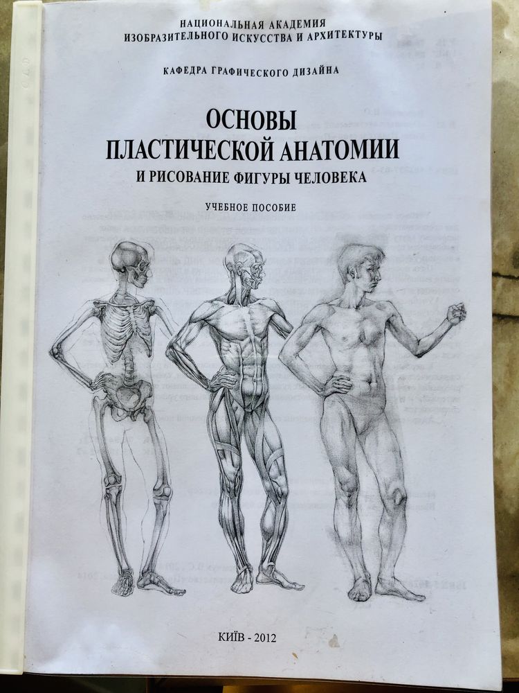 Учебник художнику Основы пластической анатомии