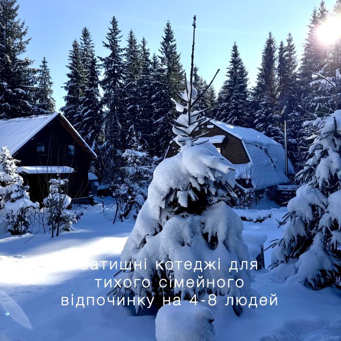 Затишний дерев'яний будиночок у тиші лісу на 4+2 осіб