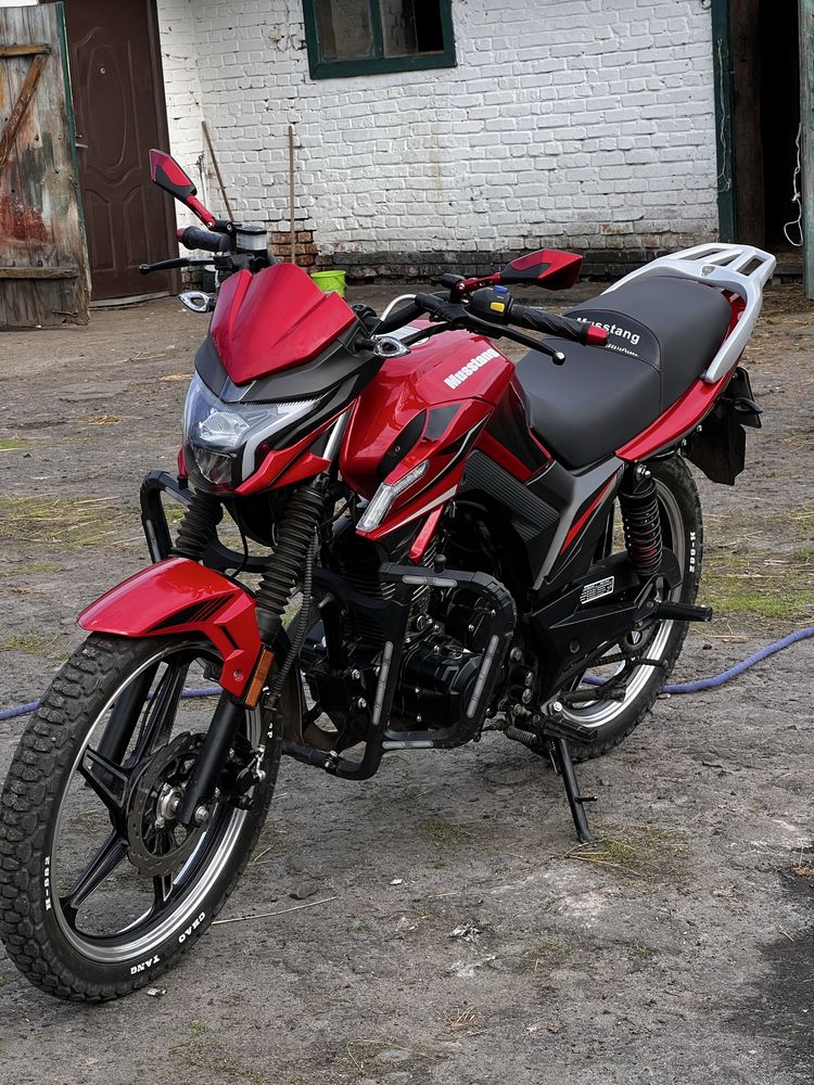 Musstang Fortune 200