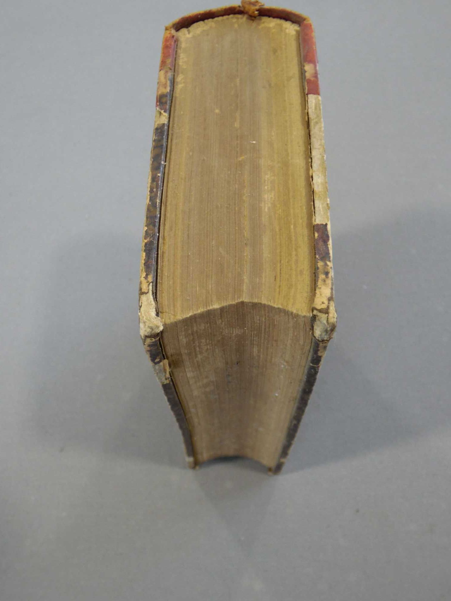 Manual para Uso dos Senhores Deputados da Nação Portugueza, 1884