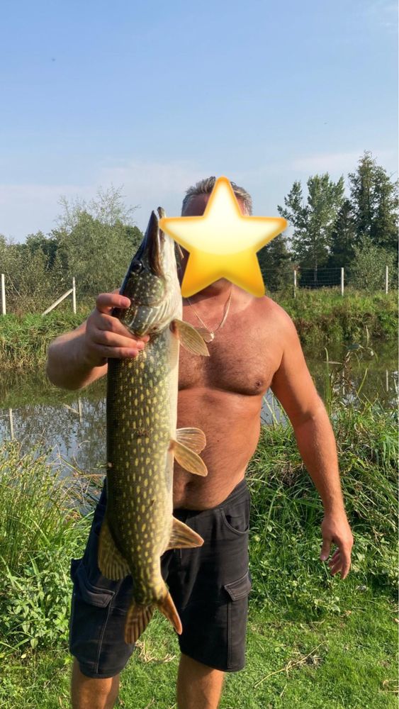 Wędkowanie bez karty na stawie