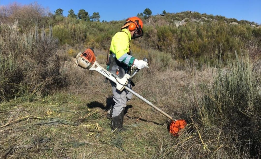 Limpeza de terrenos e abate de árvores