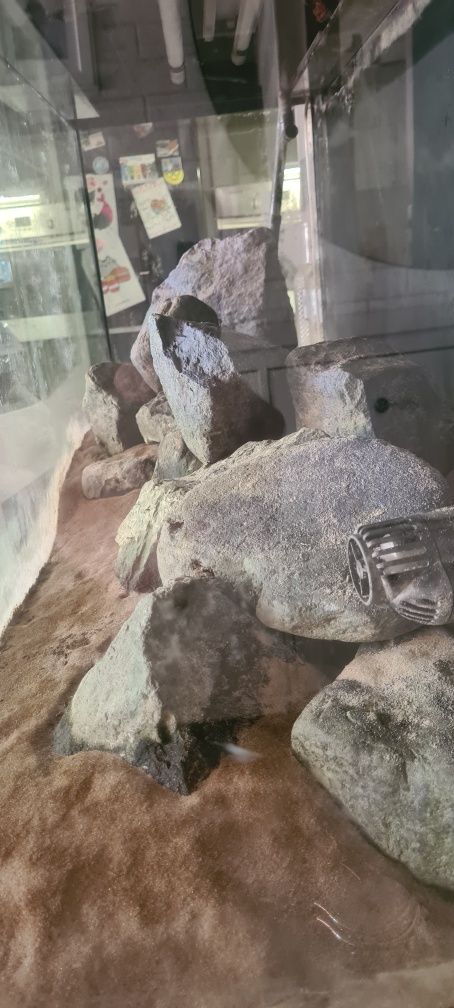 Kamień do akwarium malawi Grey stone