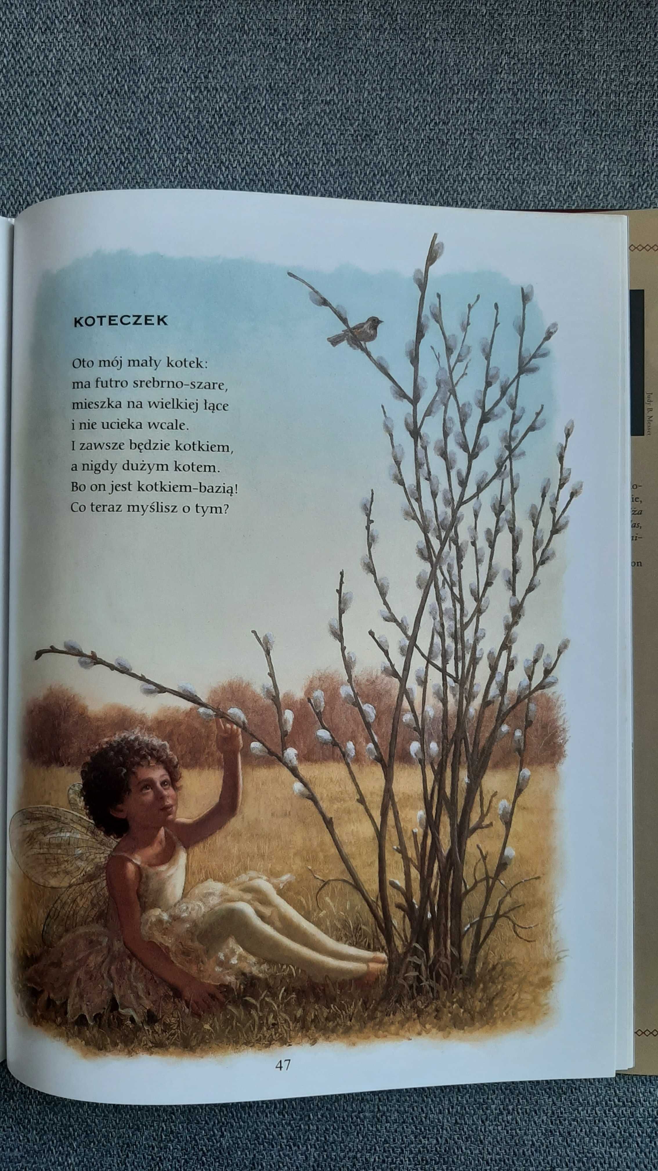Ruth Sanderson Babcia Gąska przyja zabawne wierszyki piękne ilustracje