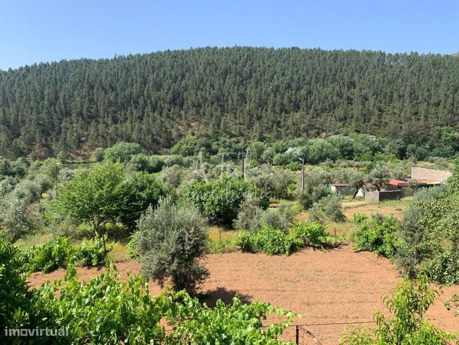 Balça - a 200 metros Rio Zêzere - Caravanismo e exploração agrícola!!