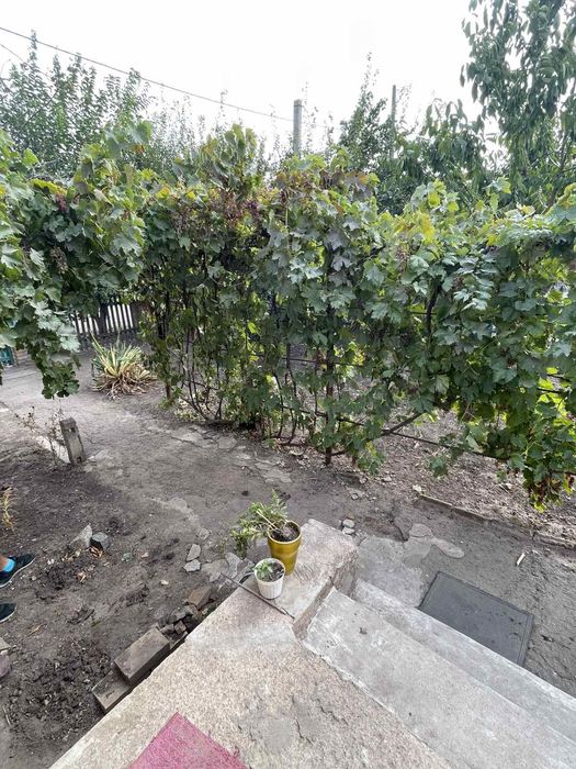 ‼️Сдам дом 17 квартал