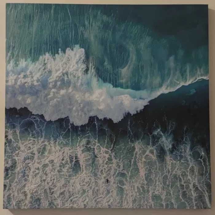 Colecção de 12 Quadros