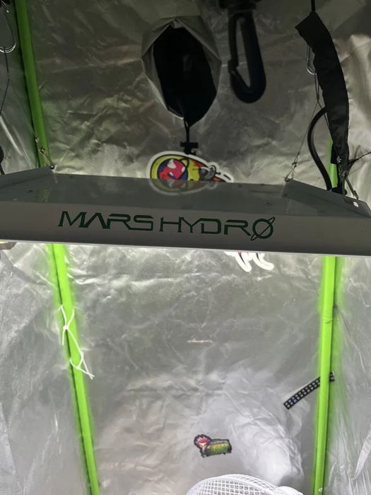 Hydro mars lampa do upraw 100w 2szt. Ts600