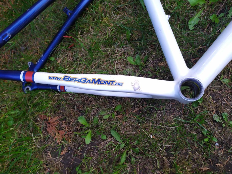 BERGAMONT PLATOON TEAM rama Alu Roz.19  Elite Custom Alloy FSA Polecam