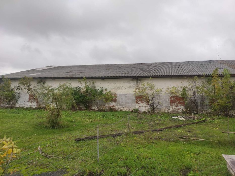 Продам приміщення (ферма)