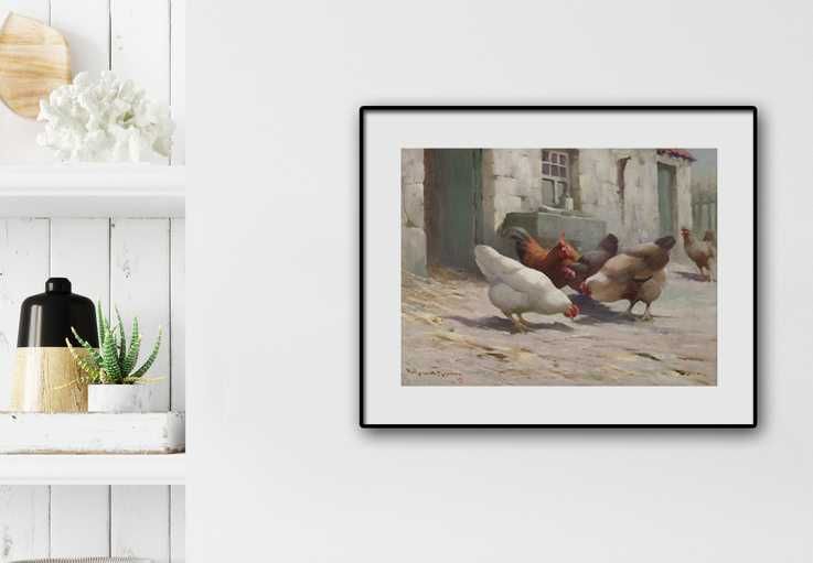 plakat kury 50x40 cm piękny