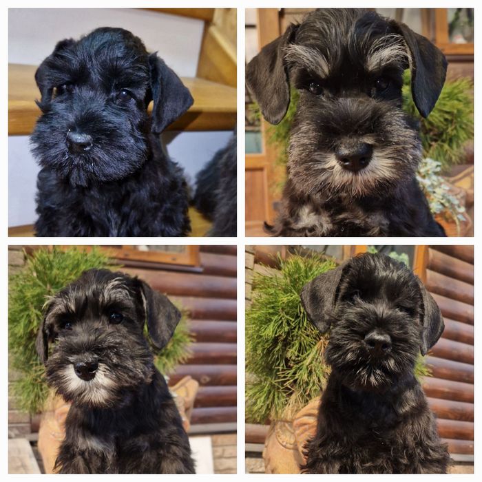 Нам 7 месяцев. Харьков