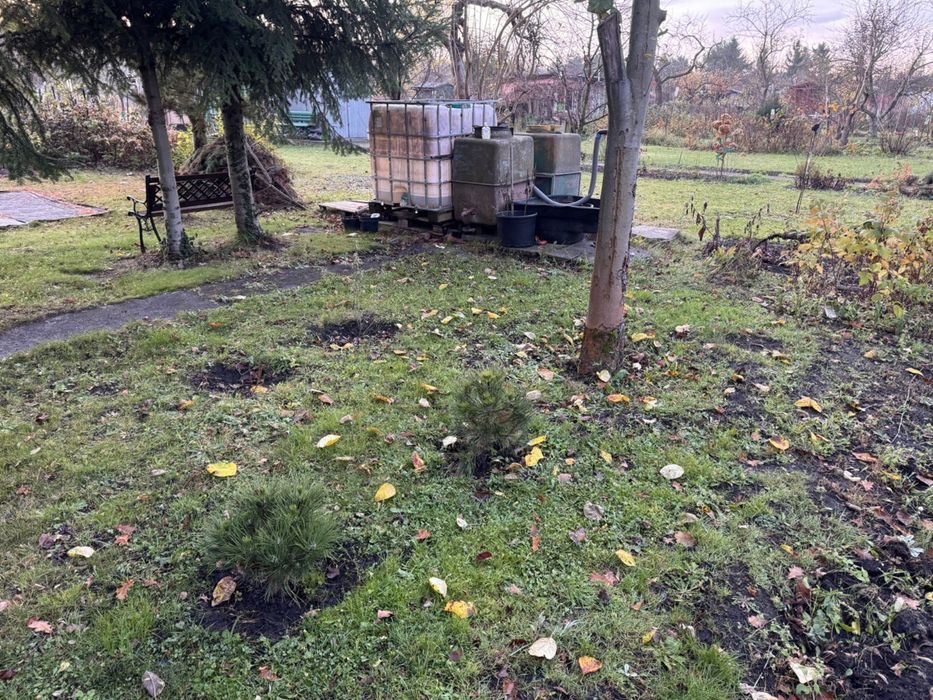 Działka w ROD „Pilczyce”