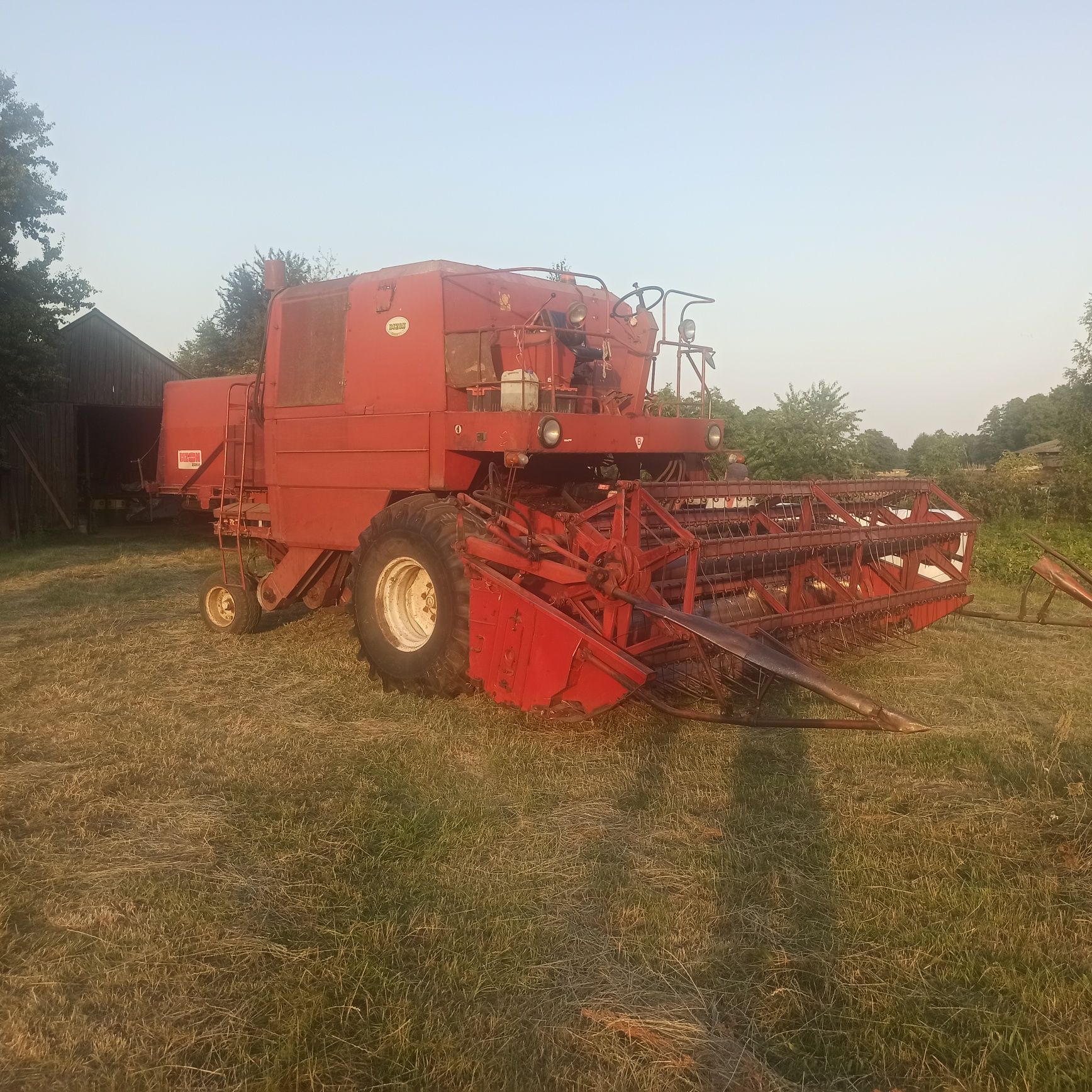 Kombajn zbożowy Bizon Z056 z sieczkarnią