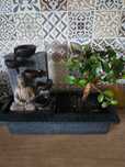 Bonsai fontanna z drzewkiem