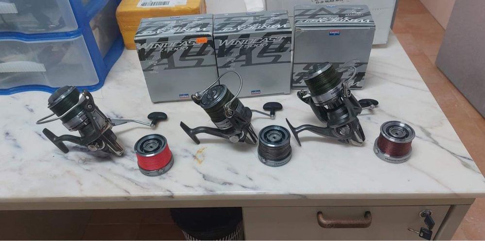 Vendo daiwa windcast Z