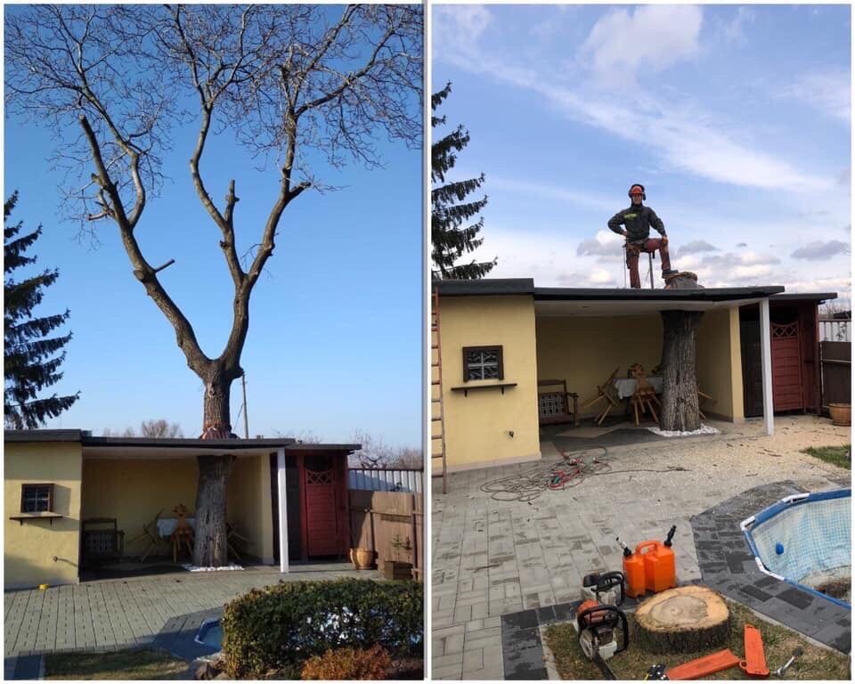 Koszenie trawy, nieużytków, wycinka drzew, frezowanie pni, karczowanie
