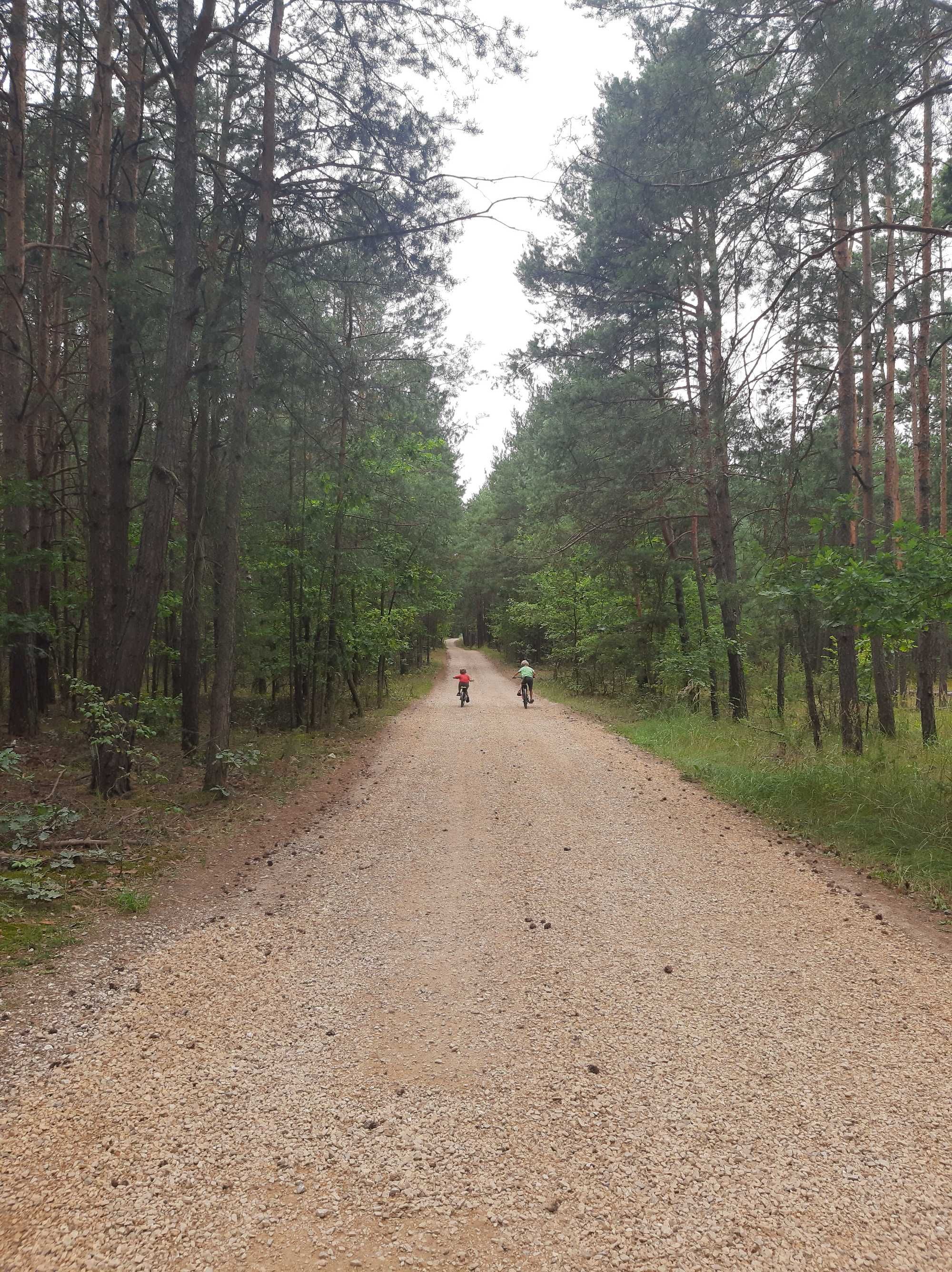 Domek letniskowy nad rzeką Liswartą 6 OSÓB w koronach drzew