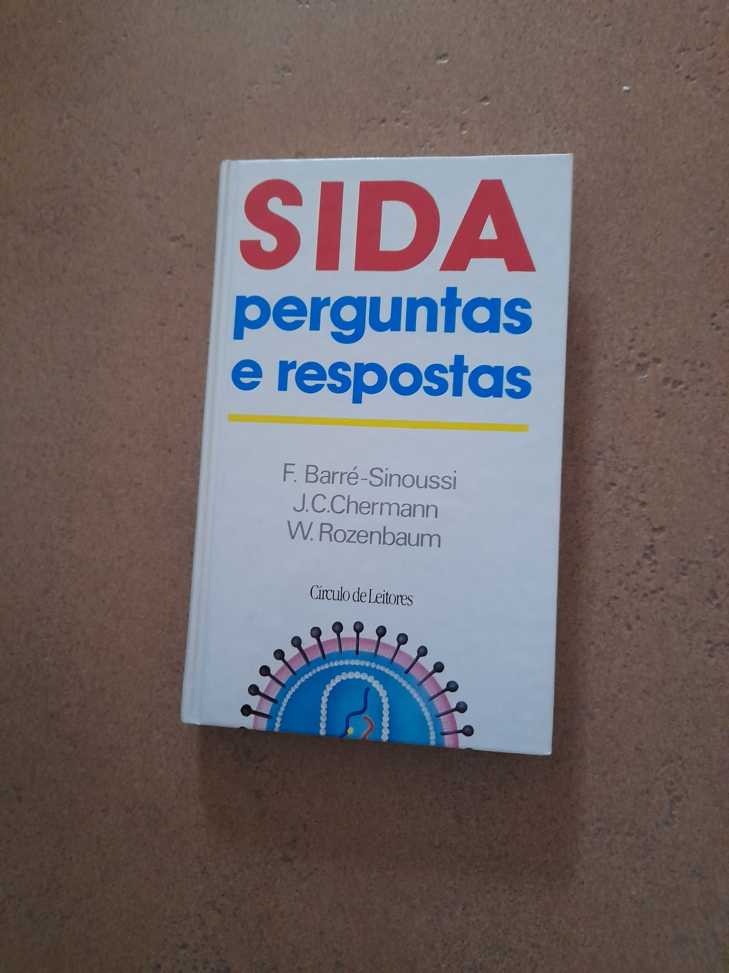 Sida- perguntas e respostas