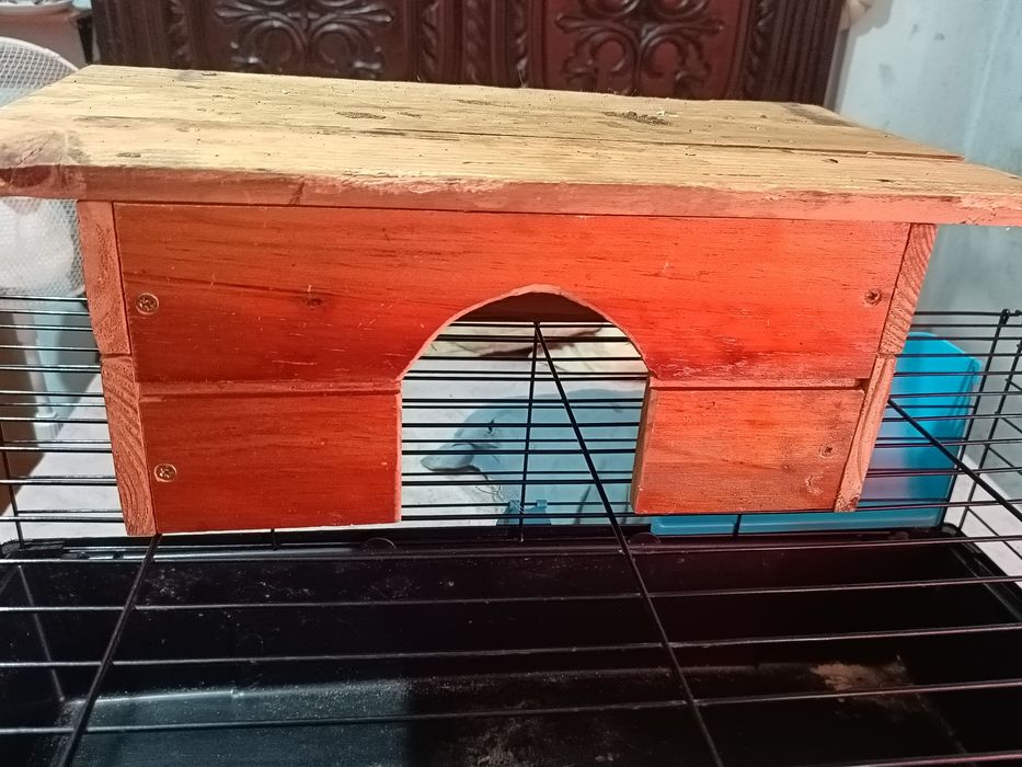 Vendo gaiola de coelho