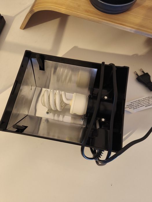 Pack inicial de tartarugas