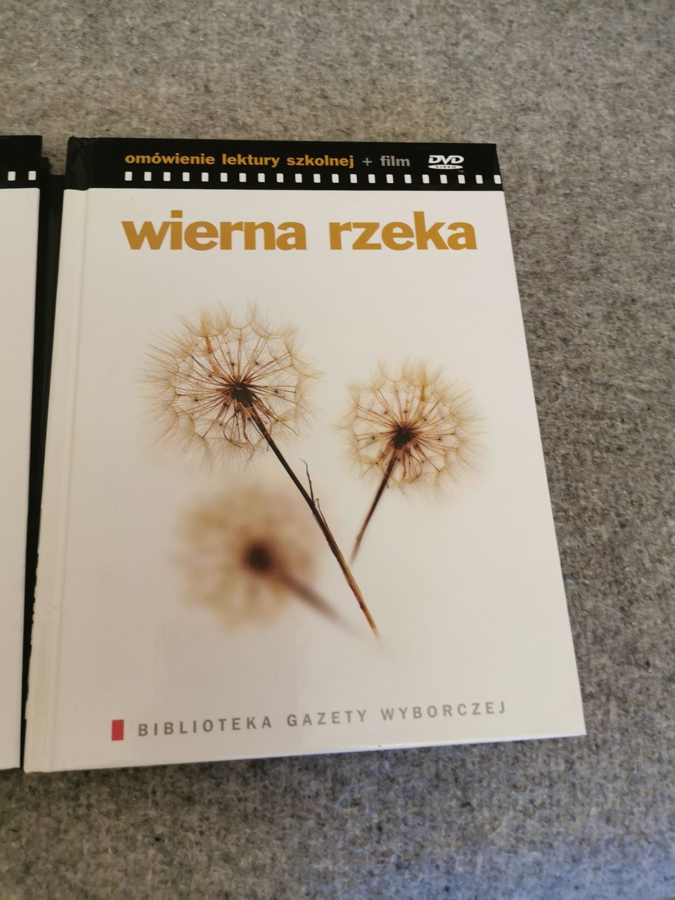 Wierna rzeka z płytą Gazeta wyborcza