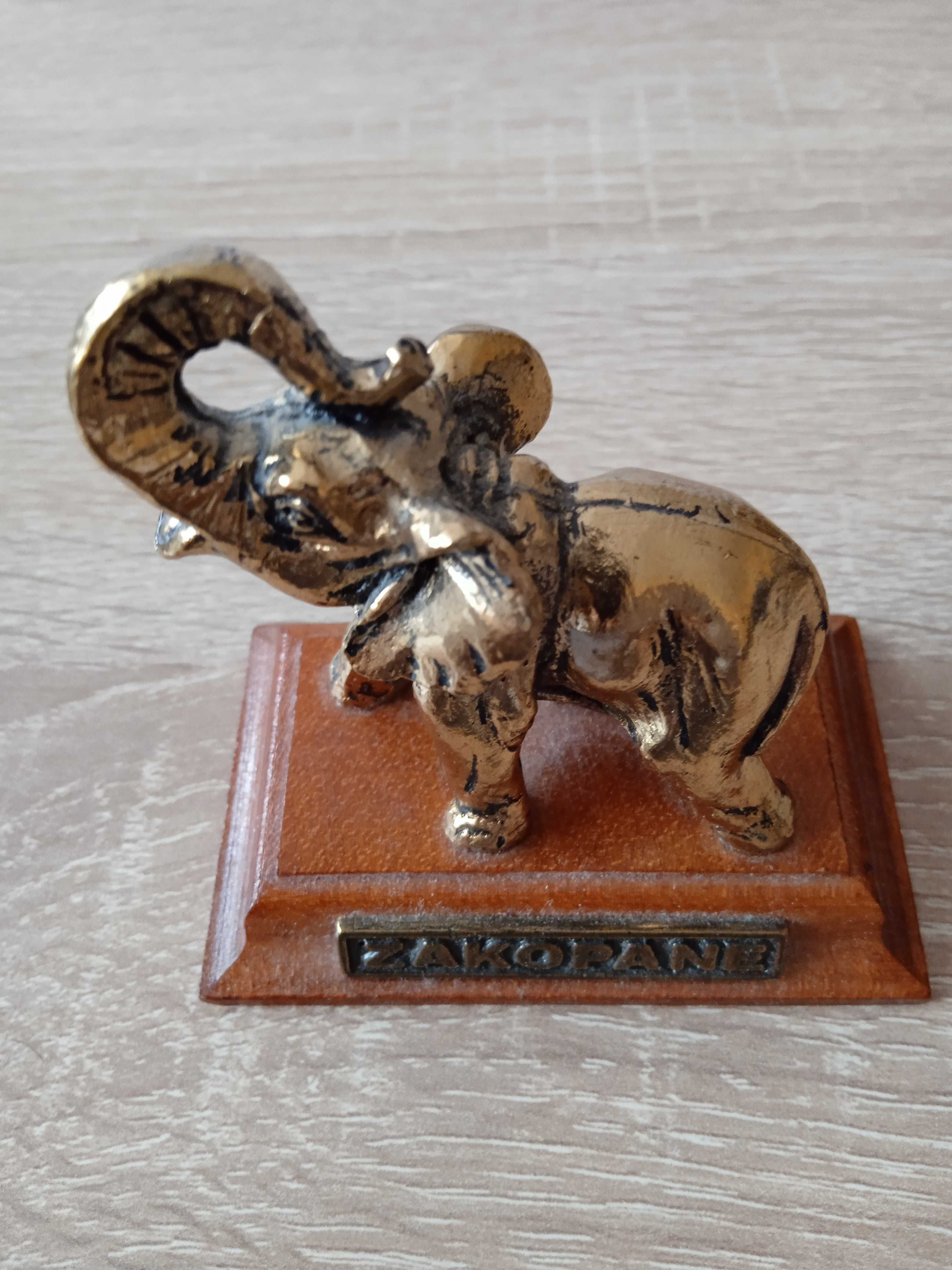Figurka słonik na drewnianej podstawie, pamiątka z Zakopane