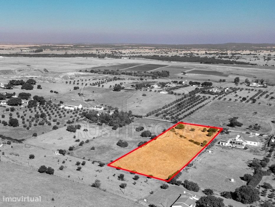 Terreno rústico, em São Miguel de Machede, sem viabilidade de const...