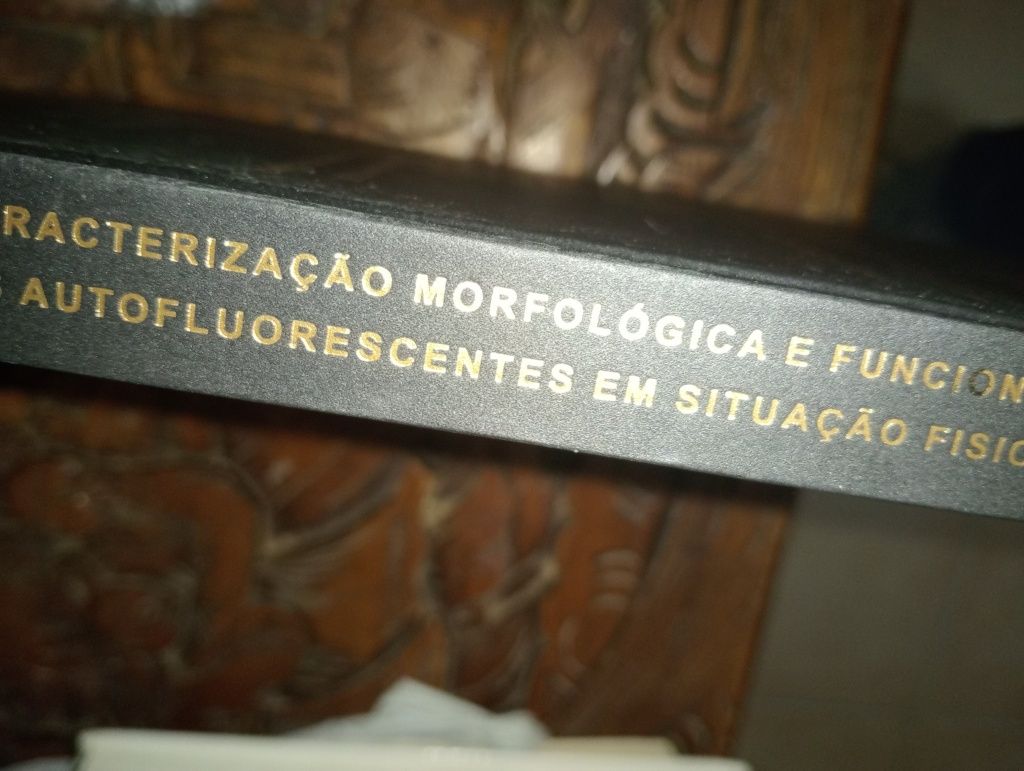 Tese de doutoramento em ciências veterinárias Dra Maria Luísa Mendes J