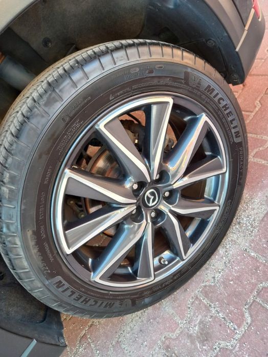 Opony wielosezonowe Michelinie