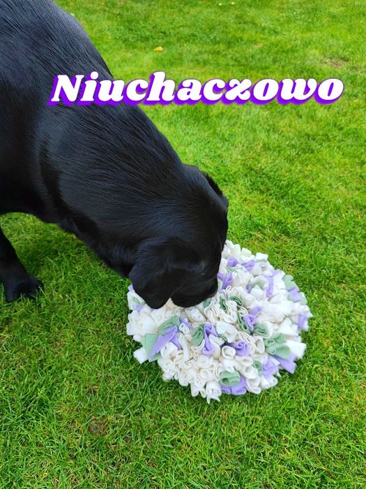 Polarowy szarpak dla psa / Szarpak dla psa z polaru / OKRĄGŁY 66,5cm