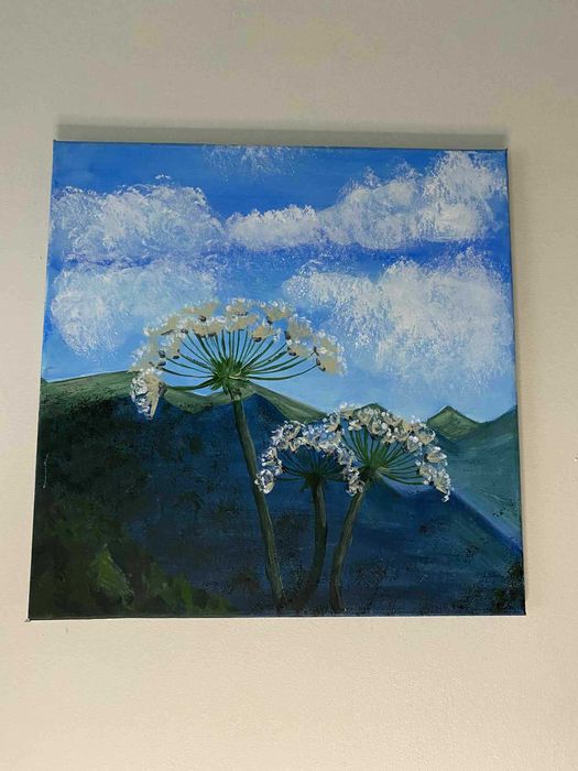 Obraz akrylowy Kwadrat 40x40cm Góry Kwiaty Dekoracja