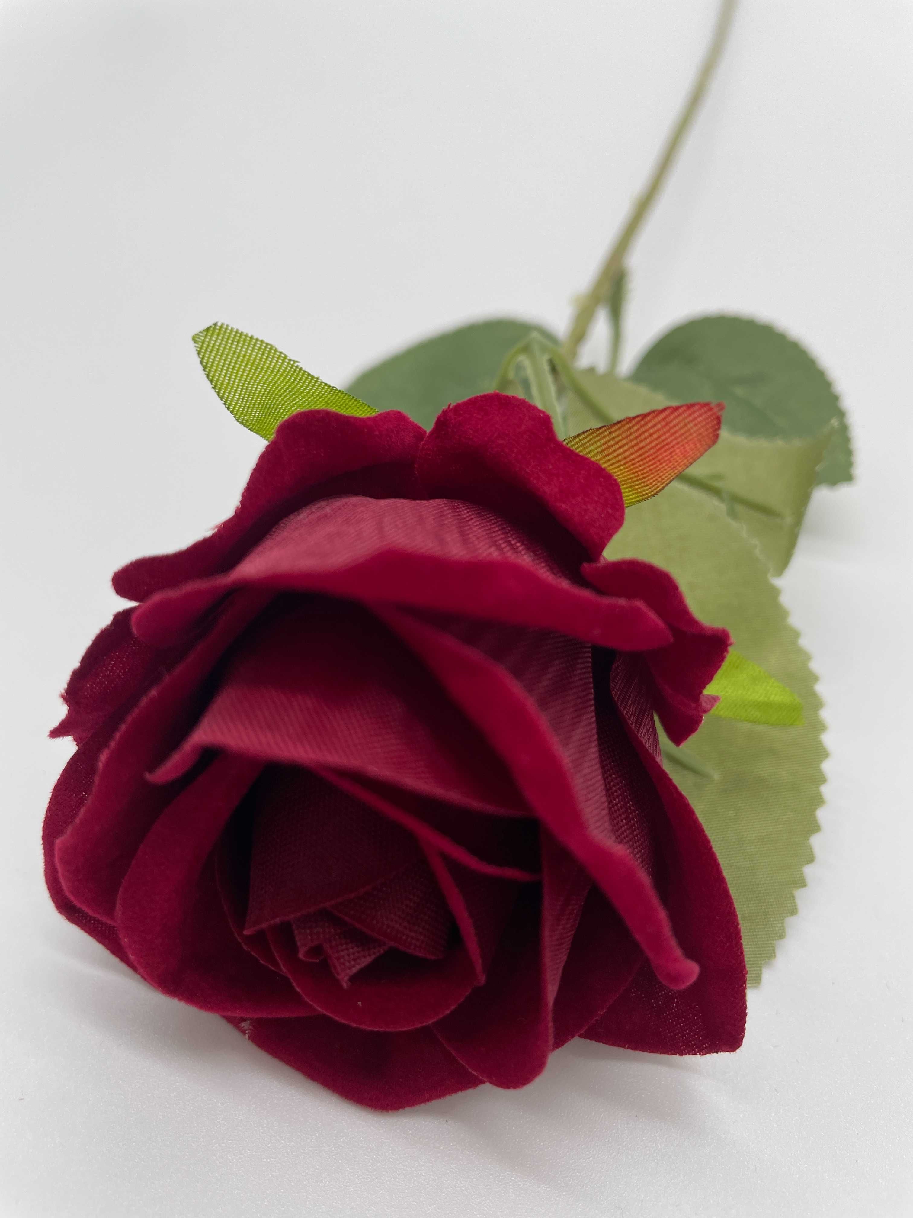 Róża 50 cm Ciemnoczerwona - Bordowa