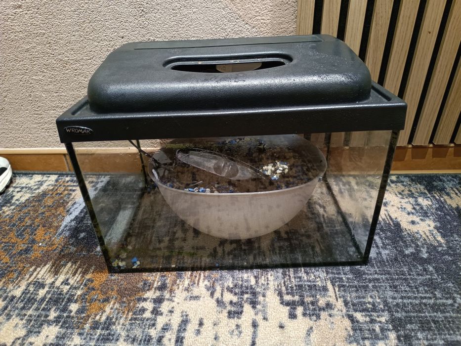 Akwarium 40/25/25 pokrywa