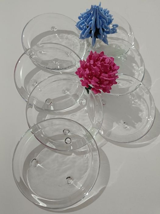 Pratos de vidro com 11 cm de diâmetro