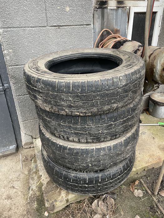 Michelin Agilis Alpin 195/75 R16C 107/105R