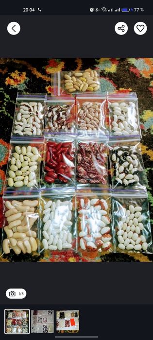 Квасоля, кущова, спаржева