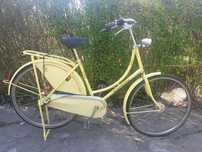 Gazelle Basic 28'' klasyk, 3 biegi