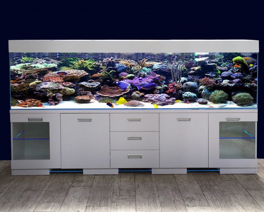 Akwarium morskie Nova Super Reef 250/50/50 cm - 625 litrów, full opti