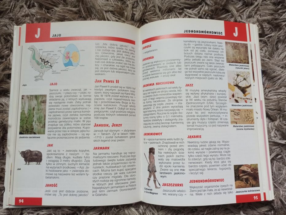 Ilustrowany leksykon dla dzieci