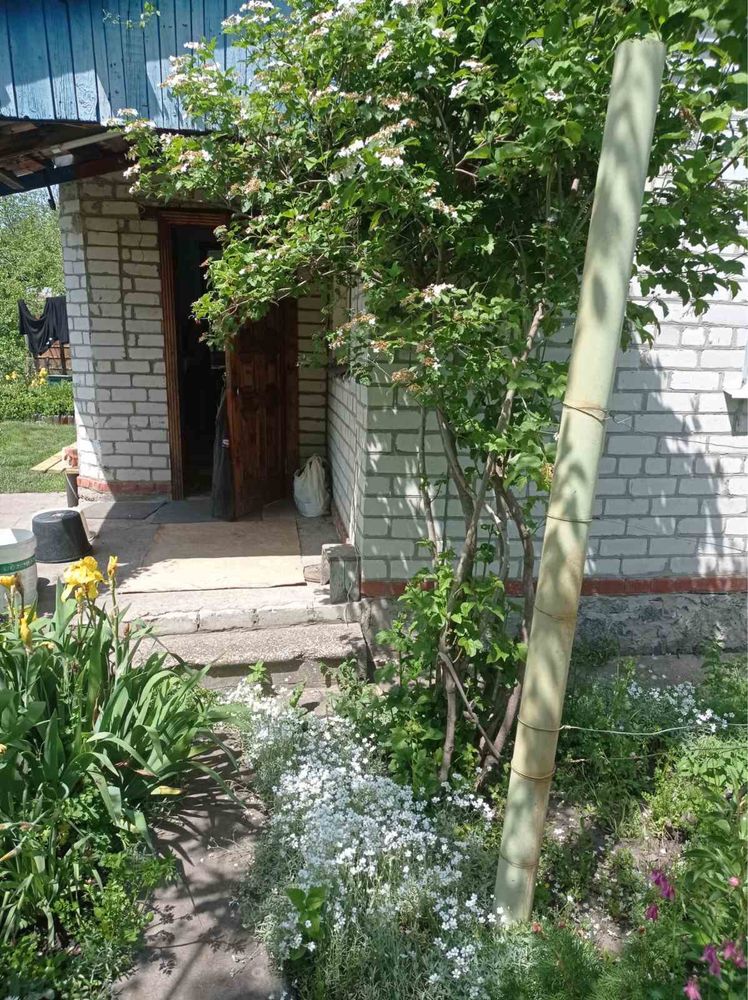 Продам не дорого гарну, затишну дачу с.Бурти
