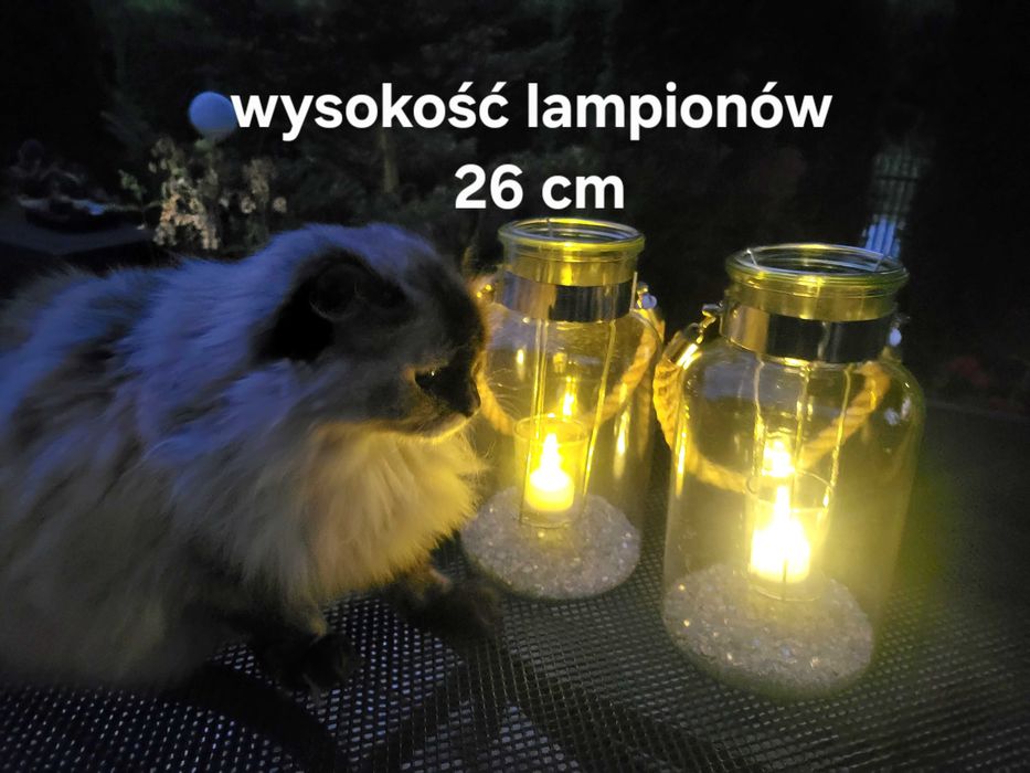 2 szt Lampionów ogrodowych + 12 świec + 2 migające tealighty Led