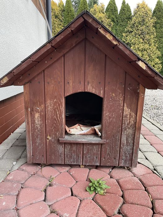 Buda dla psa ocieplana