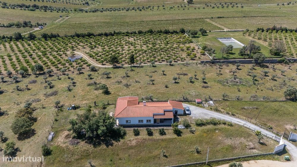 Quinta | Para Venda | Alentejo